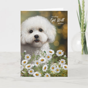 Get Well Bichon Frise Dog Daisies Card