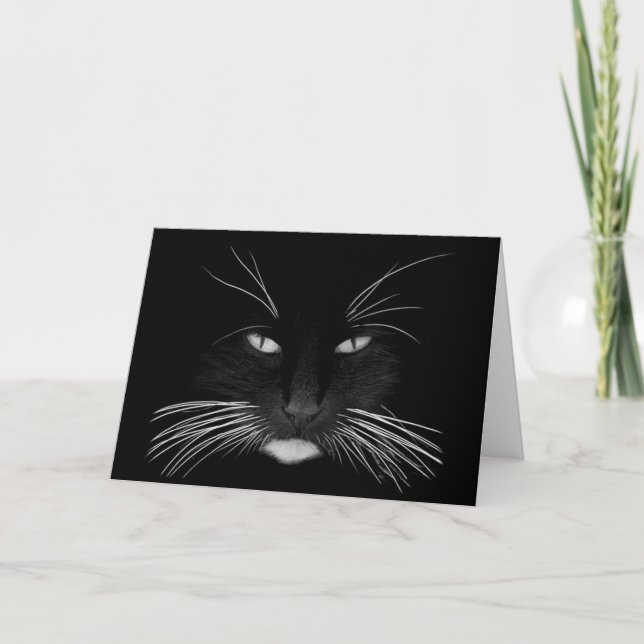 Get Well Black Cat Card (Front)