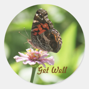 Get Well, butterfly, zinnia on a Sticker. Classic Round Sticker