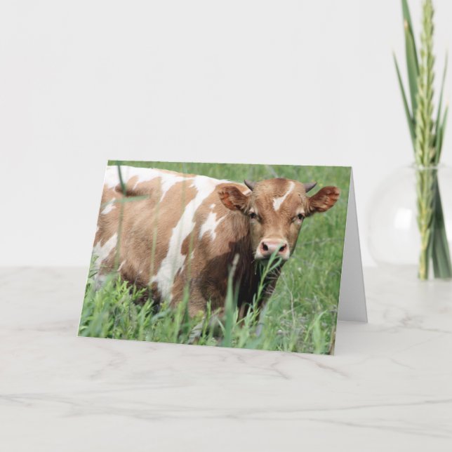 Get Well Card (Front)