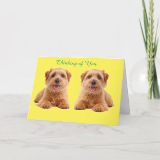 Get Well Card