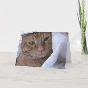 Get Well Card