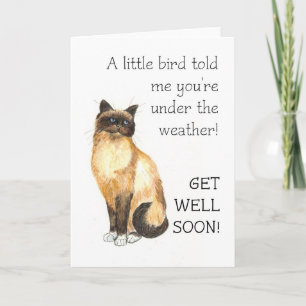 Get Well Card - Birman Cat