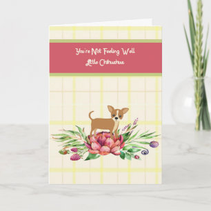 Get Well Card for Chihuahua