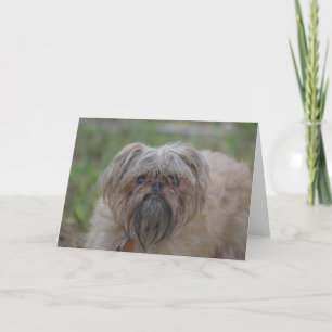 Get Well Card-Humour/Rude Card