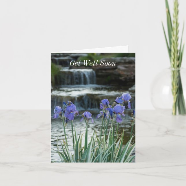 Get Well Card - Irises At Chateau (Front)