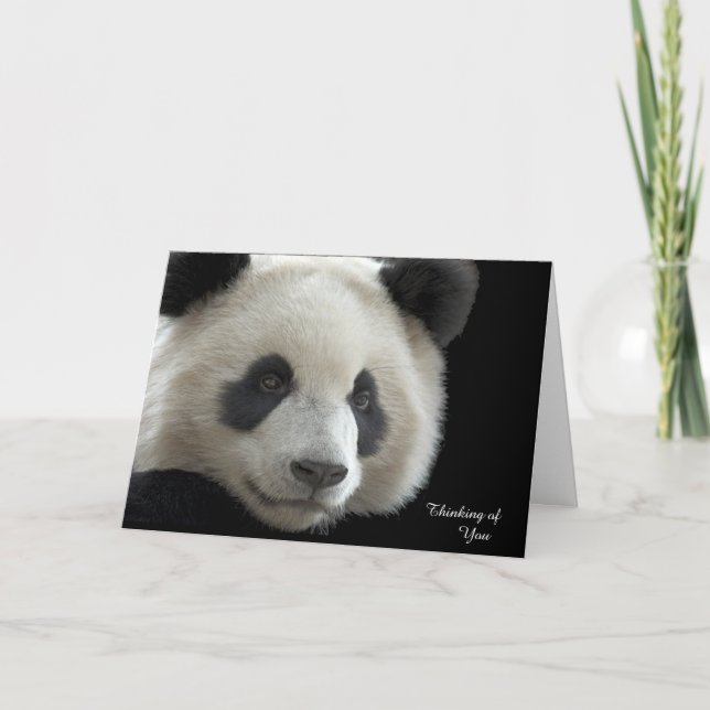 Get Well Card Panda (Front)