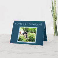 "Get Well" Card W/Cute Basset Hound Puppy