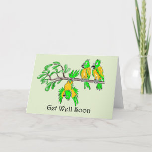 Get Well Cartoon Style Parrots Card