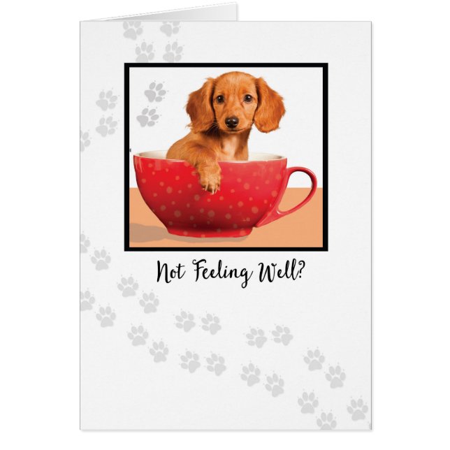 Get Well Cute Dachsund Dog in Cup (Front)