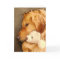 Get Well Cute Sad Golden Retriever Dog Pet