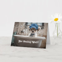 Get Well Feel Better Cute Chihuahua Puppy Dog