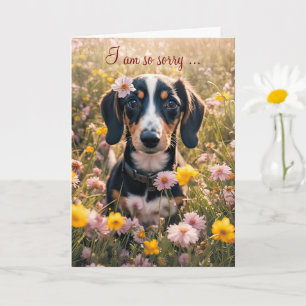 Get Well Feel Better Cute Dachshund Puppy  Card