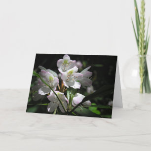 Get Well Greeting Card