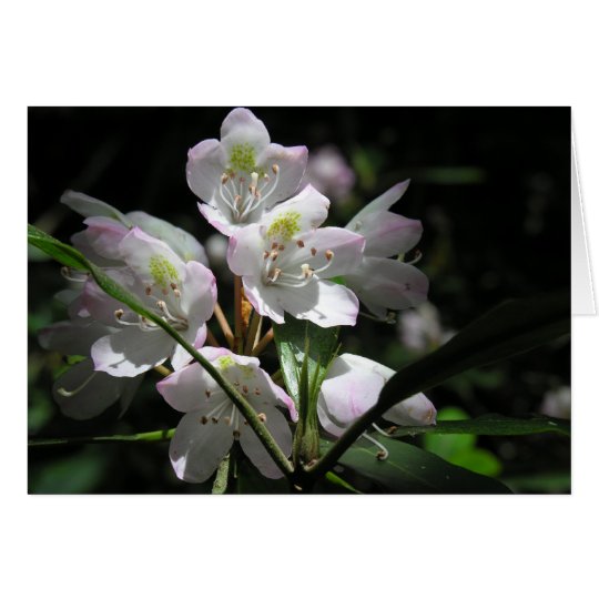 Get Well Greeting Card