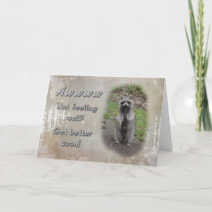 Get Well Greeting Card - Racoon Feel Better Soon