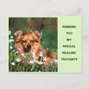 Get well - Healing - Gute Besserung Postcard