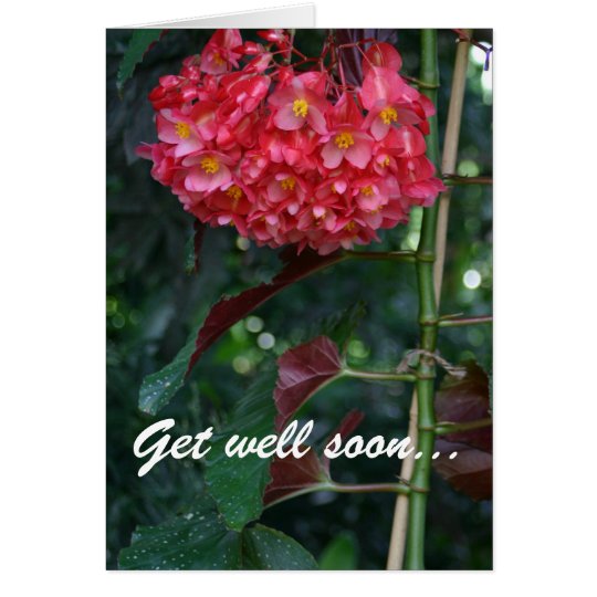 Get well soon and back to full bloom floral card