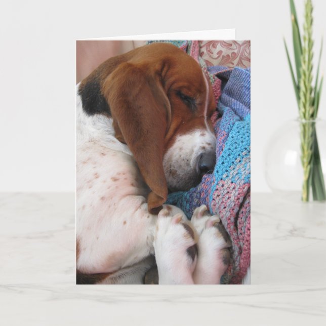 Get Well Soon Basset Hound Card (Front)