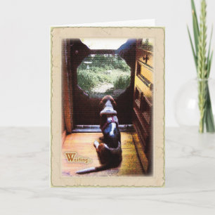Get well soon -Basset Hound Card