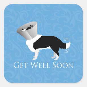 Get Well Soon - Border Collie Male Square Sticker
