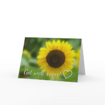 Get well soon: Bright and cheerful sunflower