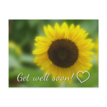 Get well soon: Bright and cheerful sunflower