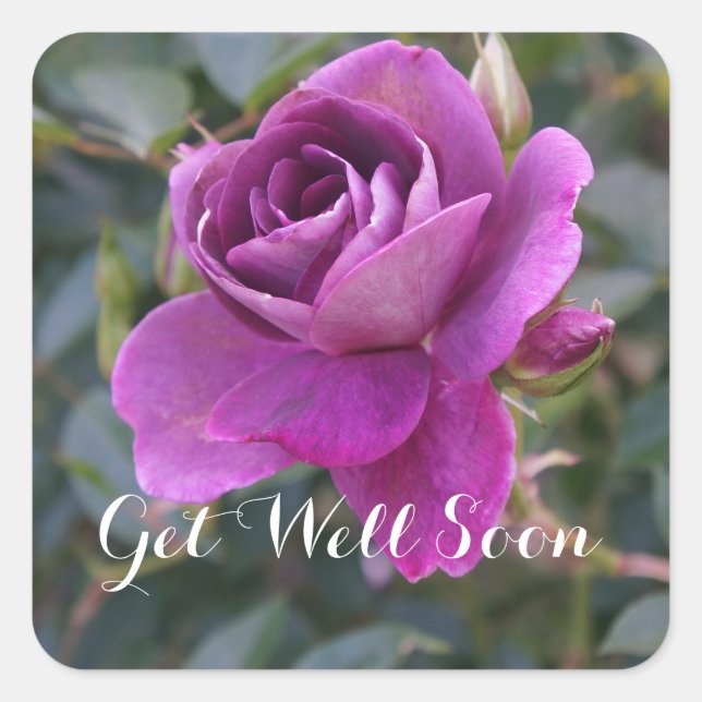 Get Well Soon Burgundy Iceberg #2 Stickers (Front)