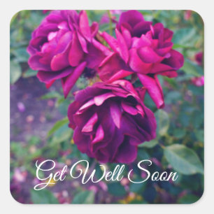 Get Well Soon Burgundy Iceberg Rose #3-2 Stickers
