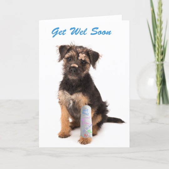 Best Of 90 Border Terrier Card