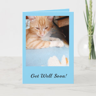 Get Well Soon! Cat Lovers Blue Holiday Card