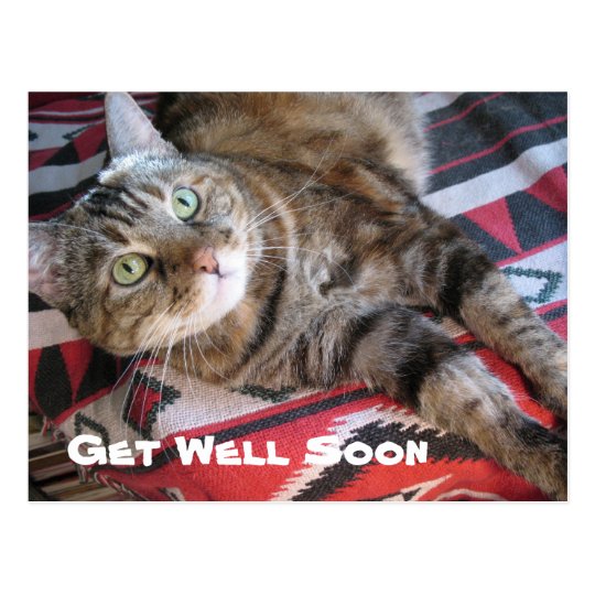 Get Well Soon Cat Postcard Uk