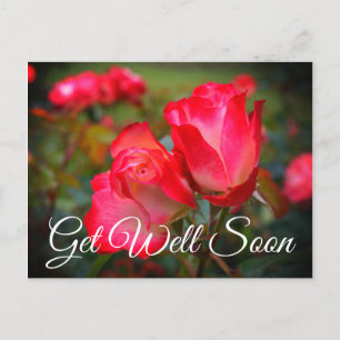 Get Well Soon Cherry Parfait Rose #4 Postcard
