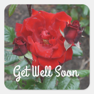 Get Well Soon Crimson Bouquet Rose #1 Stickers