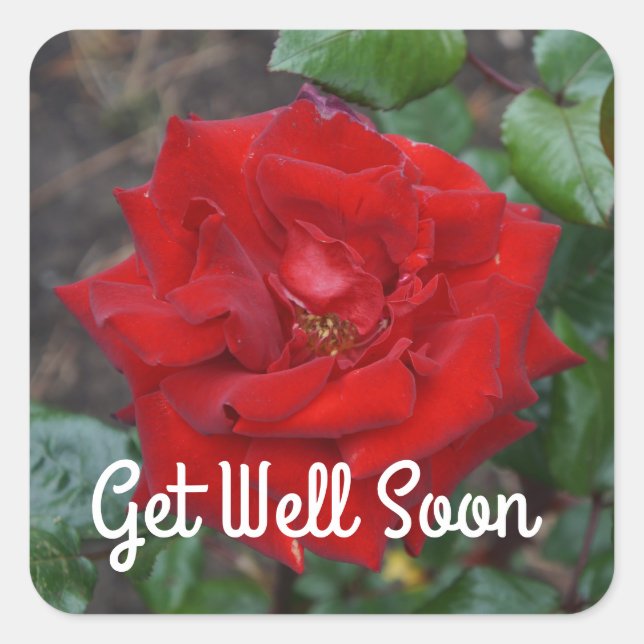 Get Well Soon Crimson Bouquet Rose #3 Stickers (Front)