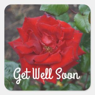 Get Well Soon Crimson Bouquet Rose #3 Stickers