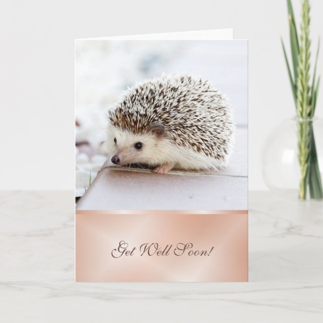 Get Well Soon | Cute Hedgehog Card (Front)
