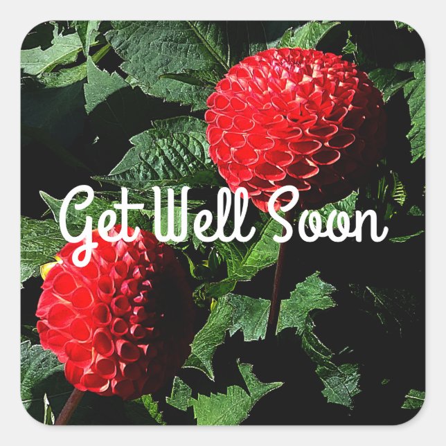 Get Well Soon Dahlia Irish Glow #1-2 Stickers (Front)