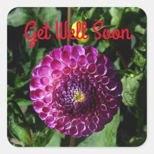 Get Well Soon Dahlia Irish Miss #1 Stickers