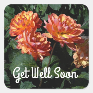 Get Well Soon Dahlia Pam Howden #1 Stickers