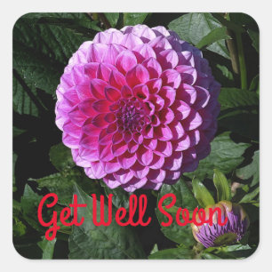 Get Well Soon Dahlia Pink Paradise #1 Stickers