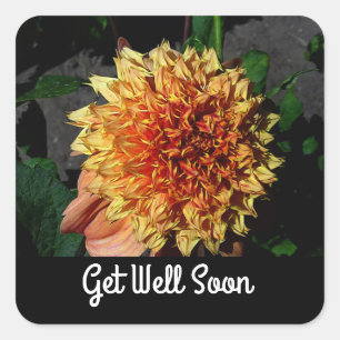 Get Well Soon Dahlia Sandia Brocade #1-2 Stickers