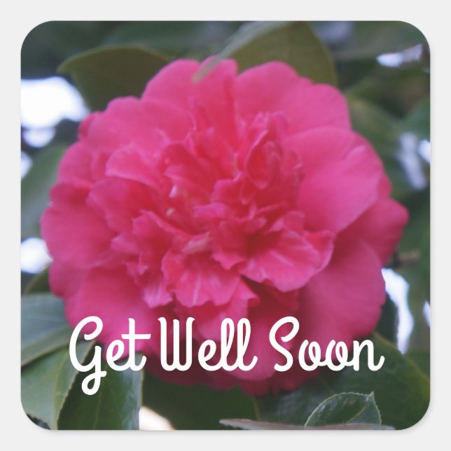 Get Well Soon Daikagura Red Camellia Stickers (Front)