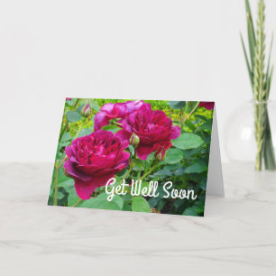 Get Well Soon Darcey Bussell Rose #2 Card