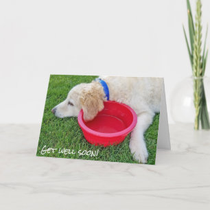 get well soon- dog with red water bowl card