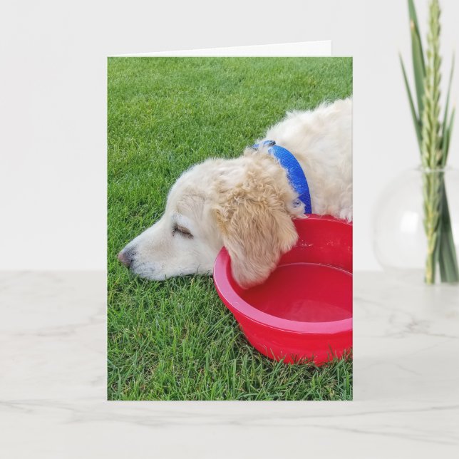 get well soon dog with red water bowl card (Front)