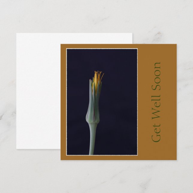 Get Well Soon Floral Golden Brown Tones Card (Front/Back)