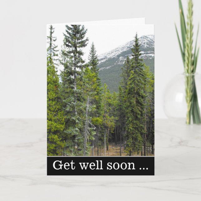 "Get well soon ..." + Forest and Mountain Scene Card (Front)