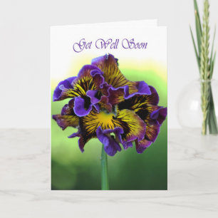 Get Well Soon - Frilly Daisy Flower Card