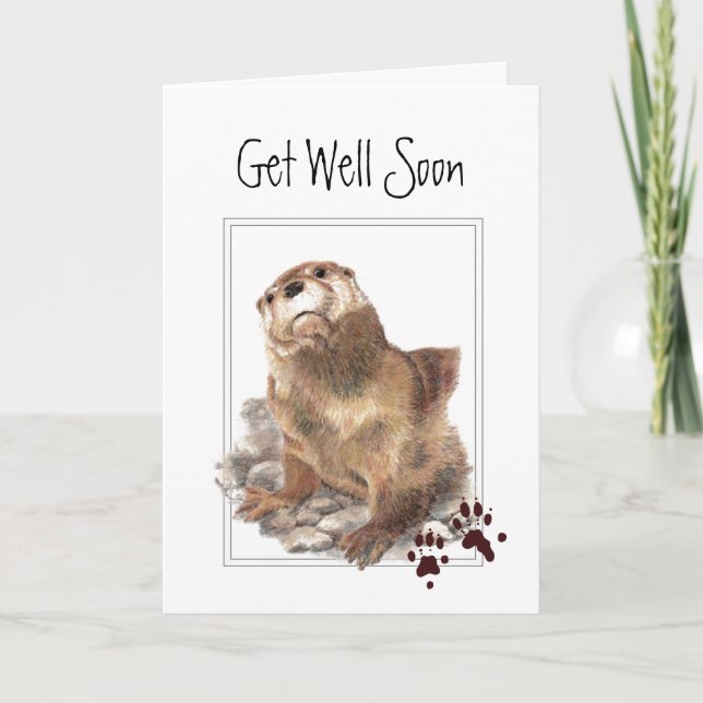 Get Well Soon, From Us, Cute Otter Animal Card (Front)
